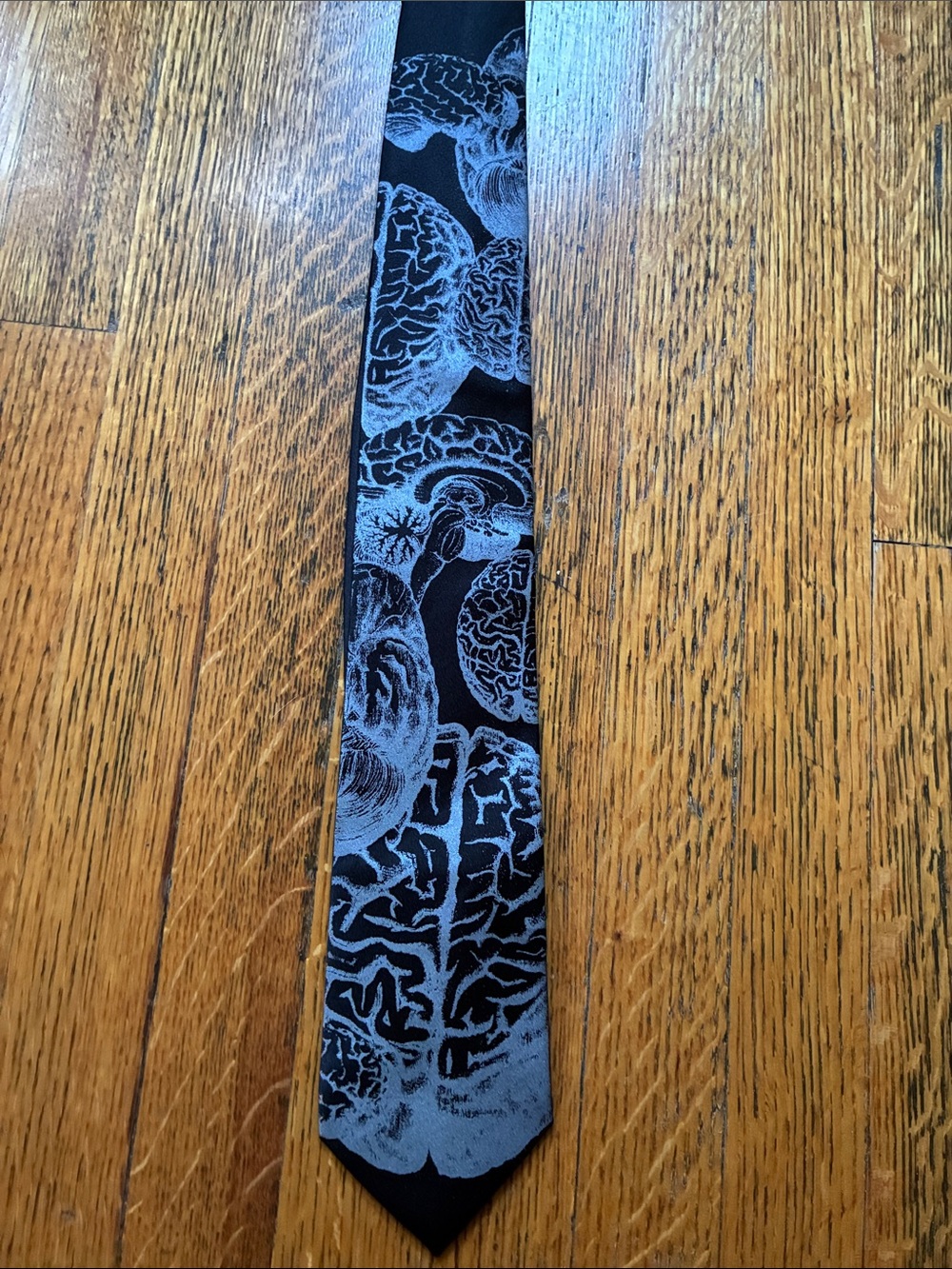 Cyberoptix Black Silk Tie with Gray Anatomical Brain Pattern